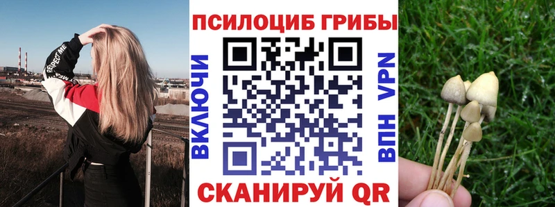 Галлюциногенные грибы ЛСД  Ноябрьск 